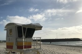 Cottesloe Beach et ses "Lifeguards on Duty" ⚓️