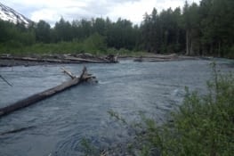 Première rivière sans pont... il y avait marqué "bridge out" sur la carte, ça m'a pas mis la puce à l'oreille...