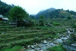 L'une des plus belles journées de notre vie.