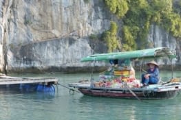 Les marchés flottants