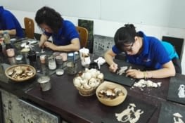 Visite de la fabrique de "Huong Lacquer Arts"