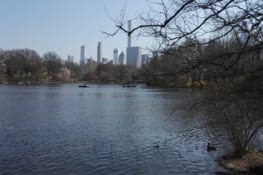 Central Park, tellement reposant...