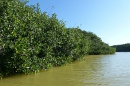 Notre objectif de la journée ? être les premiers, être seuls à Celestún .