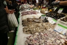 Même les étals de poissons donnent envie dès le matin ...