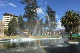 Arc en ciel dans parc