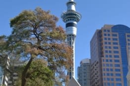 Sky tower