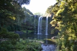 Whangarei falls