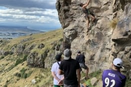 Certains grimpent, les autres observent !