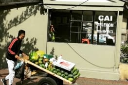 5 fruits et légumes par jours