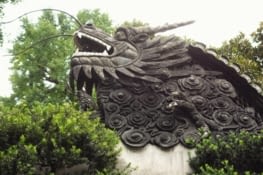 Dragon chinois / Chinese dragon