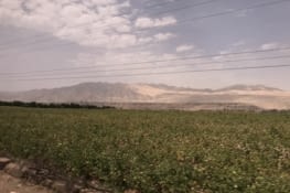 Changement de décors