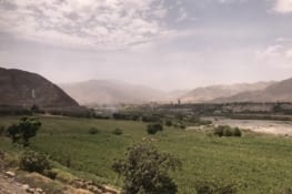 La vallée de verdure