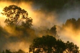 voyage amboro en Bolivie