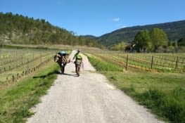 Laissons la clairette derrière nous
