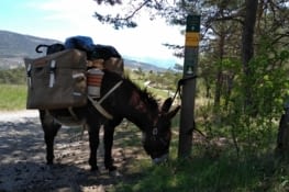 Souffler avant la montée