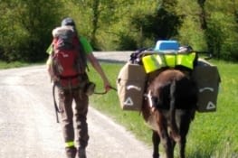 Beaux, beaux, ils sont beaux