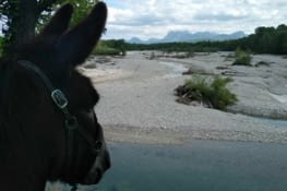 Elle est belle la drôme, et toujours les 3 becs...