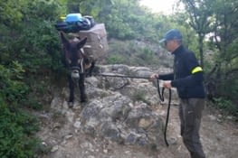 et maintenant on me teste !