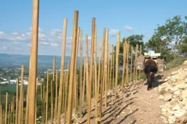 Où est passé le sentier