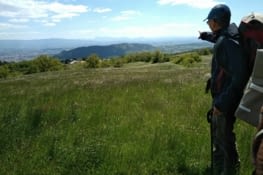 Les 3 becs encore visibles !