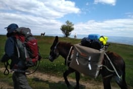 Des copains à l'horizon et même un congėnaire je crois