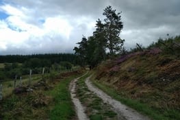 Avec un réel plaisir on retrouve "le" chemin, il est large et confortable