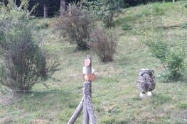 Et chouette, on est sur le bon chemin...