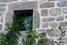 Le clin d'oeil d'une minette !