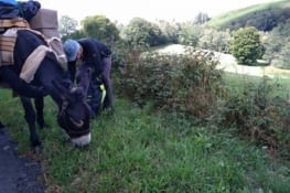 Et un beau rayon de soleil en prime
