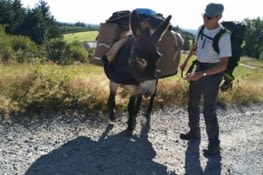 Allez, on continue...