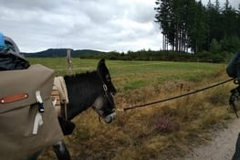 Sancho est toujours en bout de longe quelque soit sa longueur
