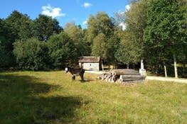 De l'ombre, du soleil