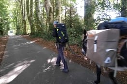 Puis superbe allée centenaire...