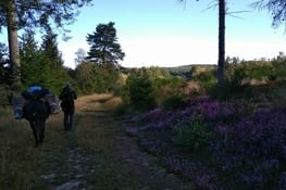 Belle lumière du matin...   moments magiques...