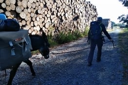 et encore une bonne montée, j'aime !