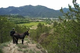 Et voilà mon coin...   et ma cabane est juste là-bas en-dessous