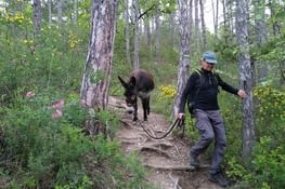 Heureusement que je n'ai pas mon bât sur le dos,