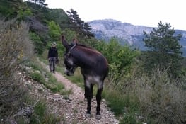 Il n'est pas rapide le chef...