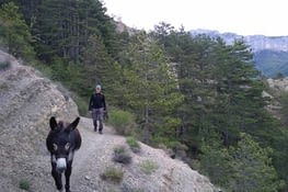 J'aime ces petits single !