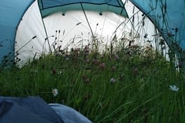 et oui c'est l'intérieur de la tente... Bonne nuit les petits,