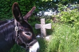 Et oui, chemin de Compostelle