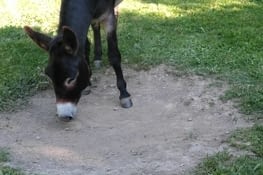 1- je hume pour le contrôle