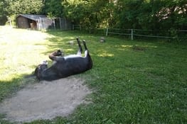 5- plaisir, plaisir..