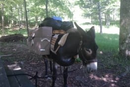 Un super coin à la fraiche, j'apprécie...