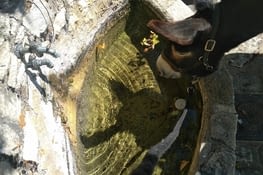 C'est l'ombre de qui ?