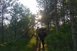 On monte à la fraîche