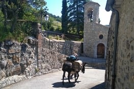 Superbe nid d'aigle ce Rimon