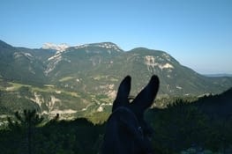 Parce que Filiore c'est en face