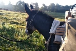 Quelle belle lumière