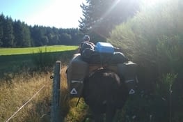 Petit chemin se rétrécit...